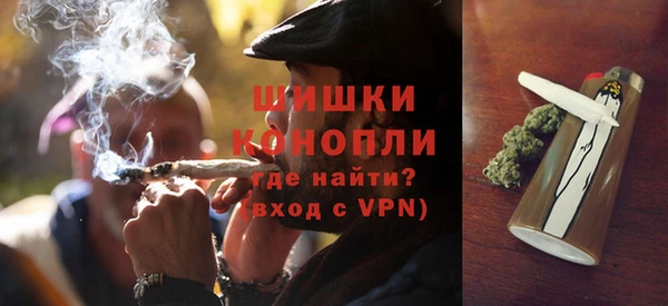 молекула духа Осташков