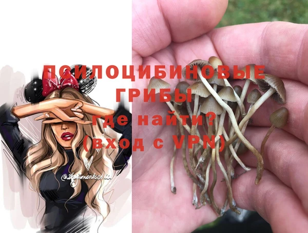 альфа пвп Михайловск