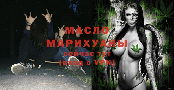 молекула духа Осташков
