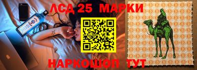 PSILOCYBIN Абакан