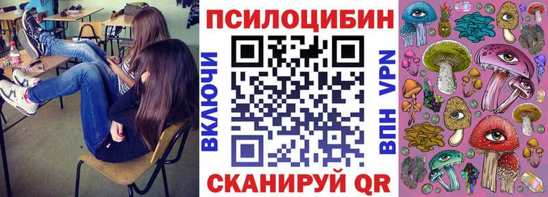mega маркетплейс  Москва  Псилоцибиновые грибы Cubensis 