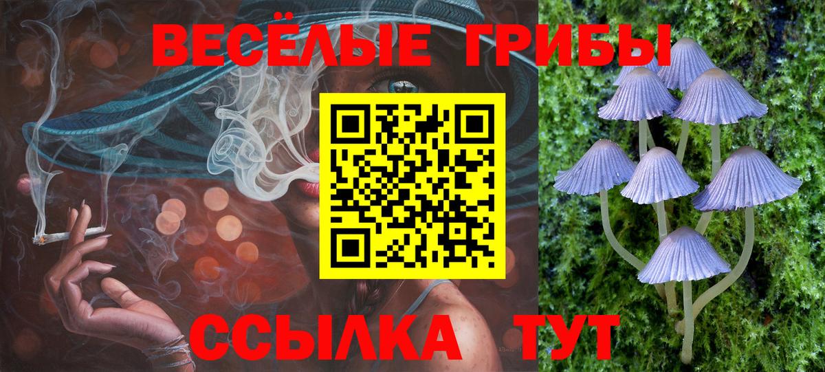 Галлюциногенные грибы Magic Shrooms  Вход с VPN  Галлюциногенные грибы мицелий  Москва 